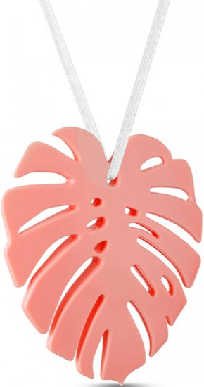 Ароматическое саше Монстера Rue Lepic