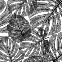 Стеновая панель L105 Монстера 240x0.6x60 МДФ разноцветный