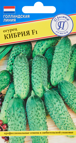 Семена овощей огурец Кибрия F1, 5 шт.